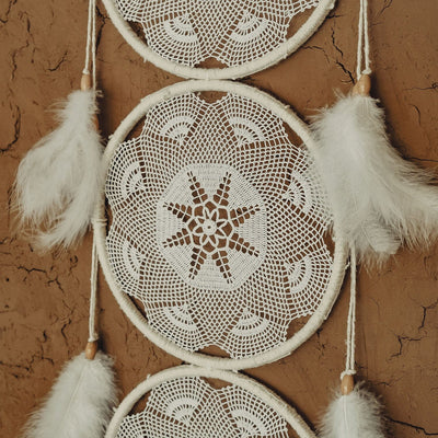 Reef Dreamcatcher , Homeware , Hoagard.com